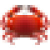 Crab